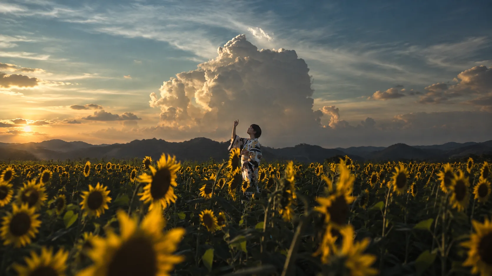 A person reaching toward a cloud-filled sky in a field of sunflowers at golden hour